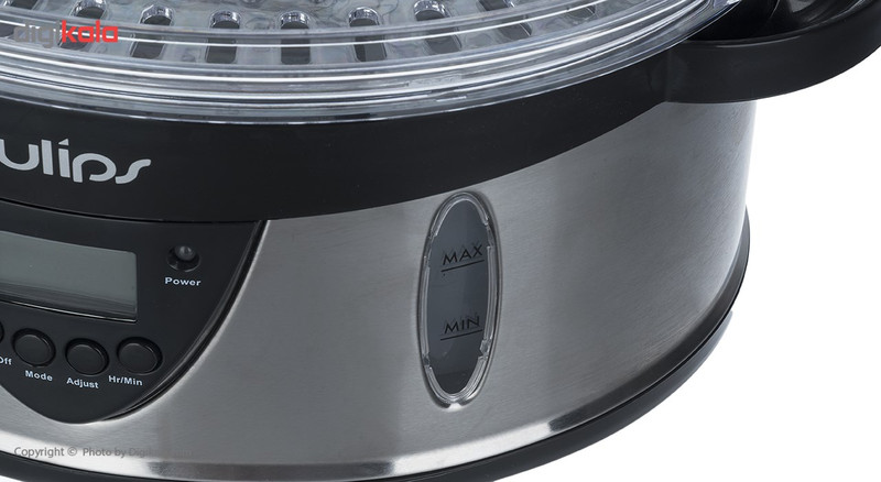 بخارپز تولیپس مدل FS-440