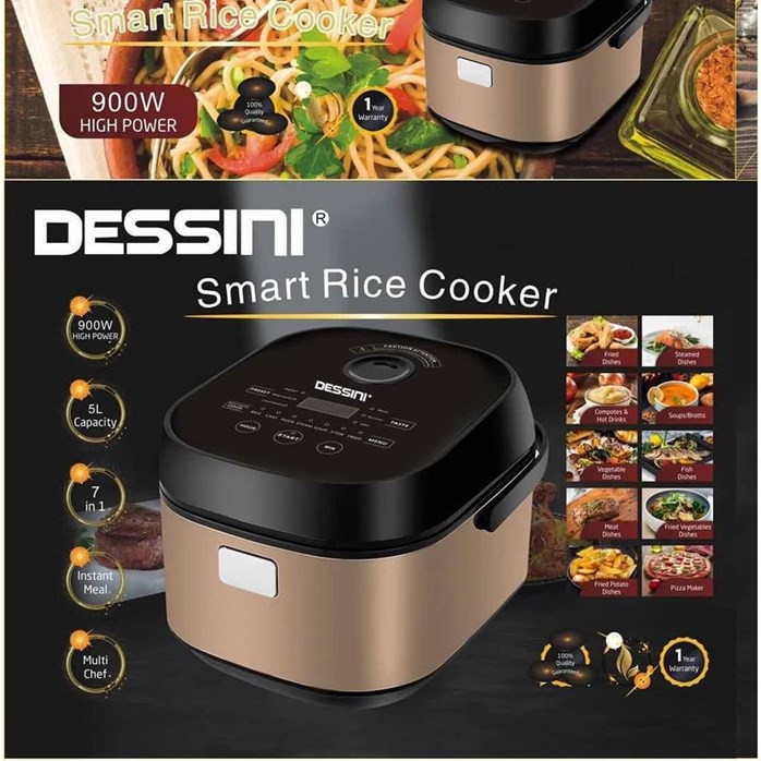 مولتی کوکر دسینی مدل DS-RC-599