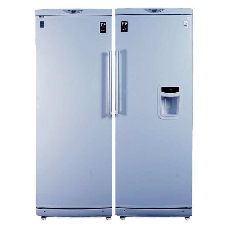 یخچال و فریزر دوقلو 23 فوت پارس مدل REFST170WD-FRZNF170