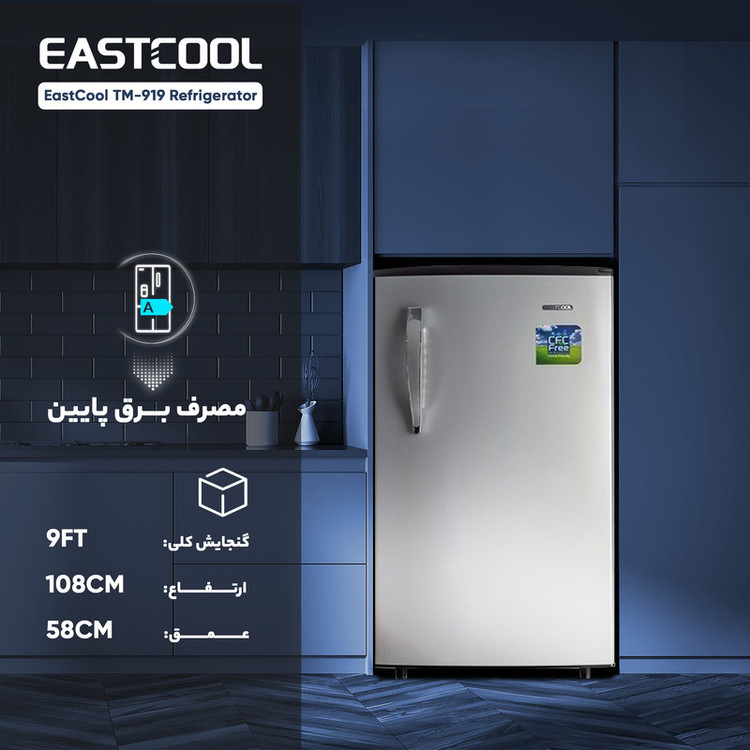 یخچال 9 فوت ایستکول مدل TM-919