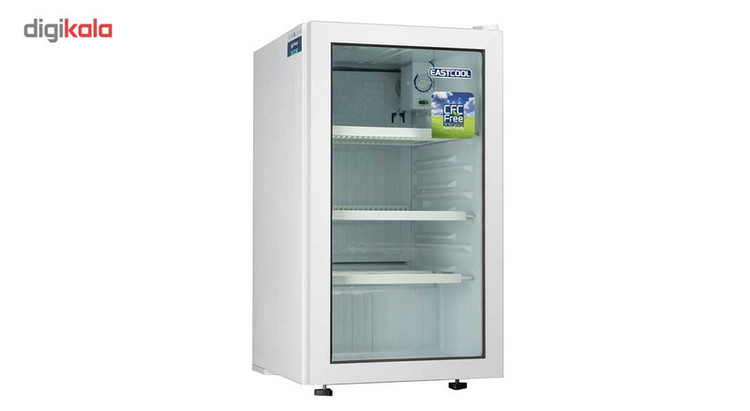 یخچال 5 فوت ایستکول مدل TM-9580-CS