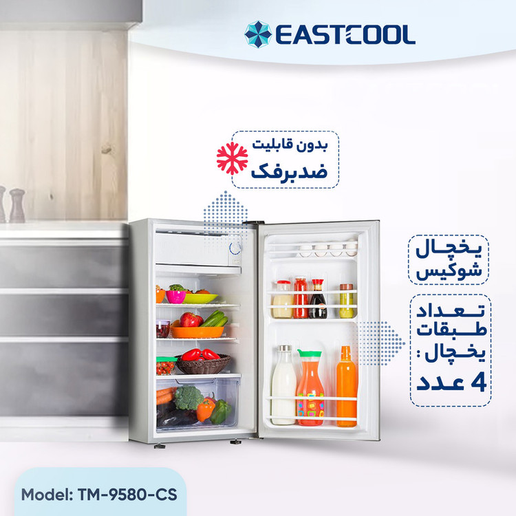 یخچال 5 فوت ایستکول مدل TM-9580-CS